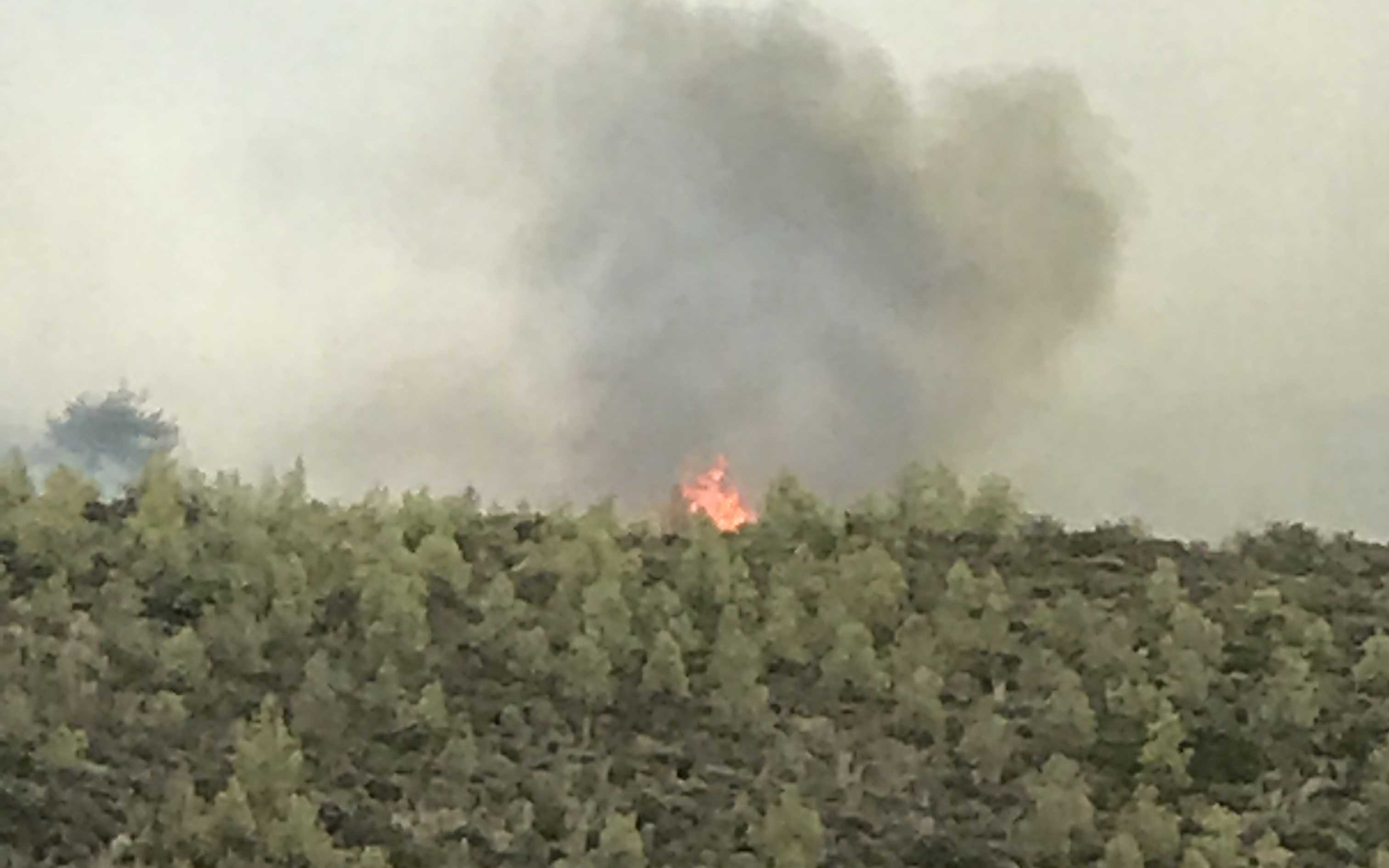 Εικόνες ολοκληρωτικής καταστροφής από τις πυρκαγιές (Φωτο – Βίντεο)-3
