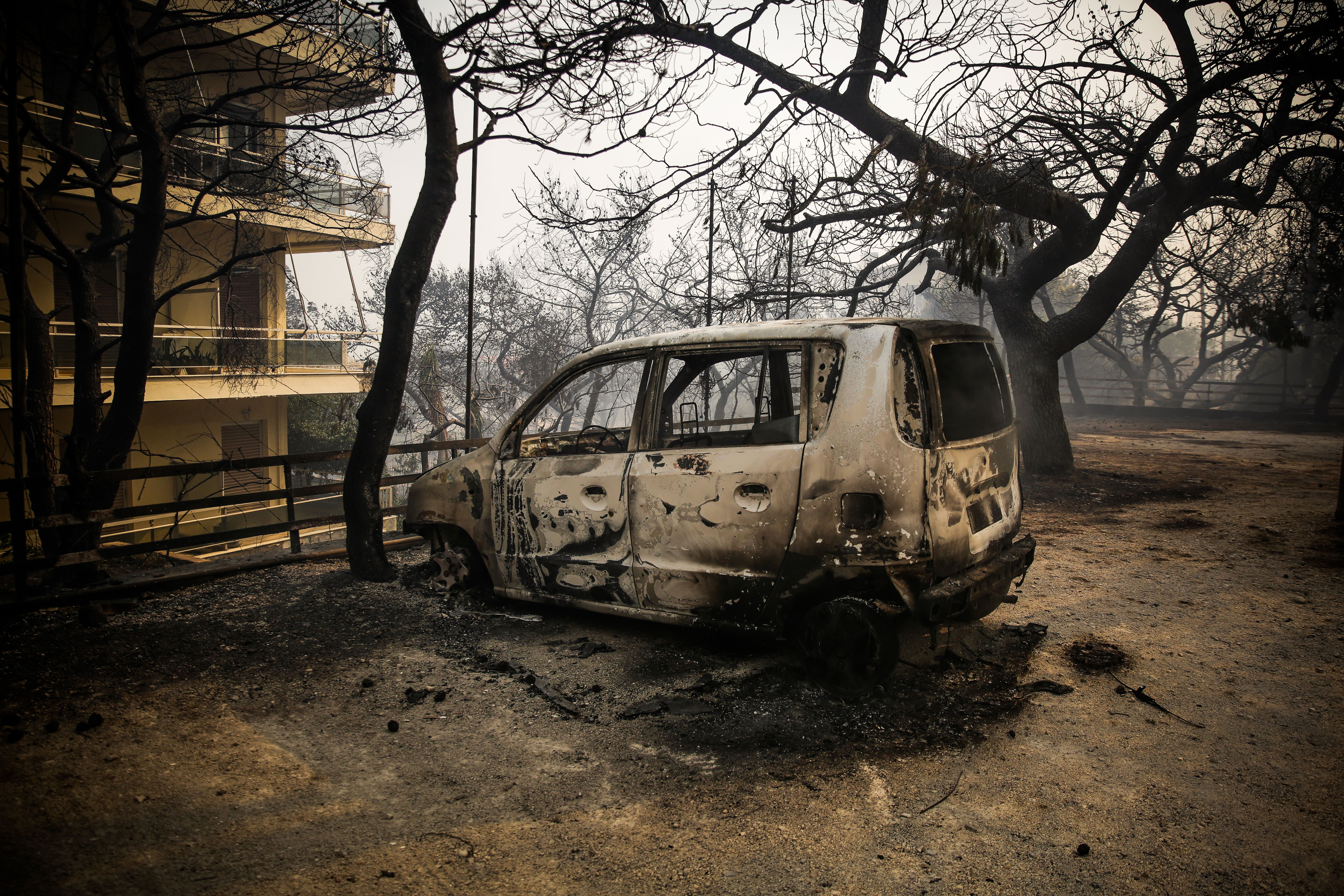 Εικόνες ολοκληρωτικής καταστροφής από τις πυρκαγιές (Φωτο – Βίντεο)-9