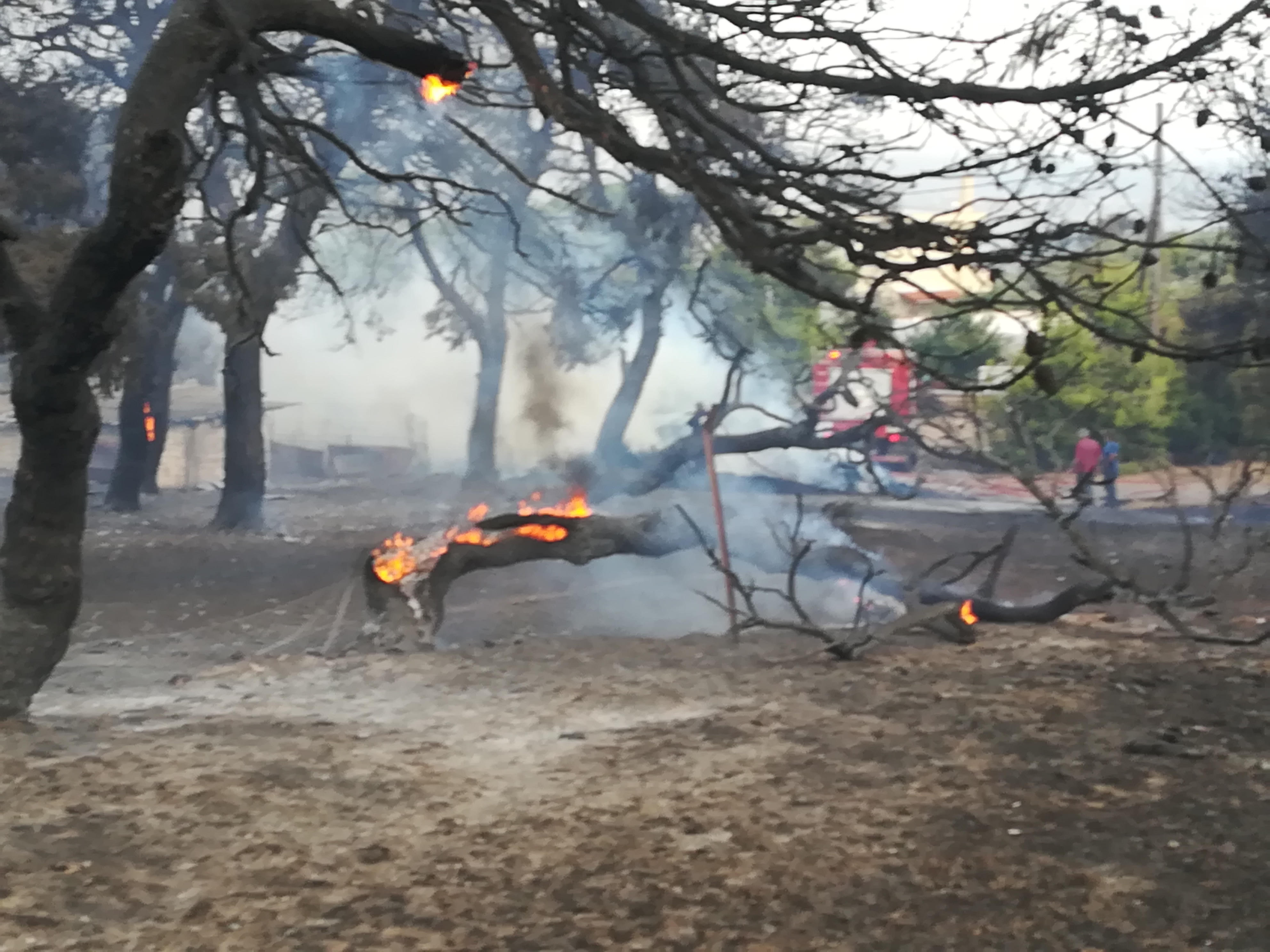Εικόνες ολοκληρωτικής καταστροφής από τις πυρκαγιές (Φωτο – Βίντεο)-8