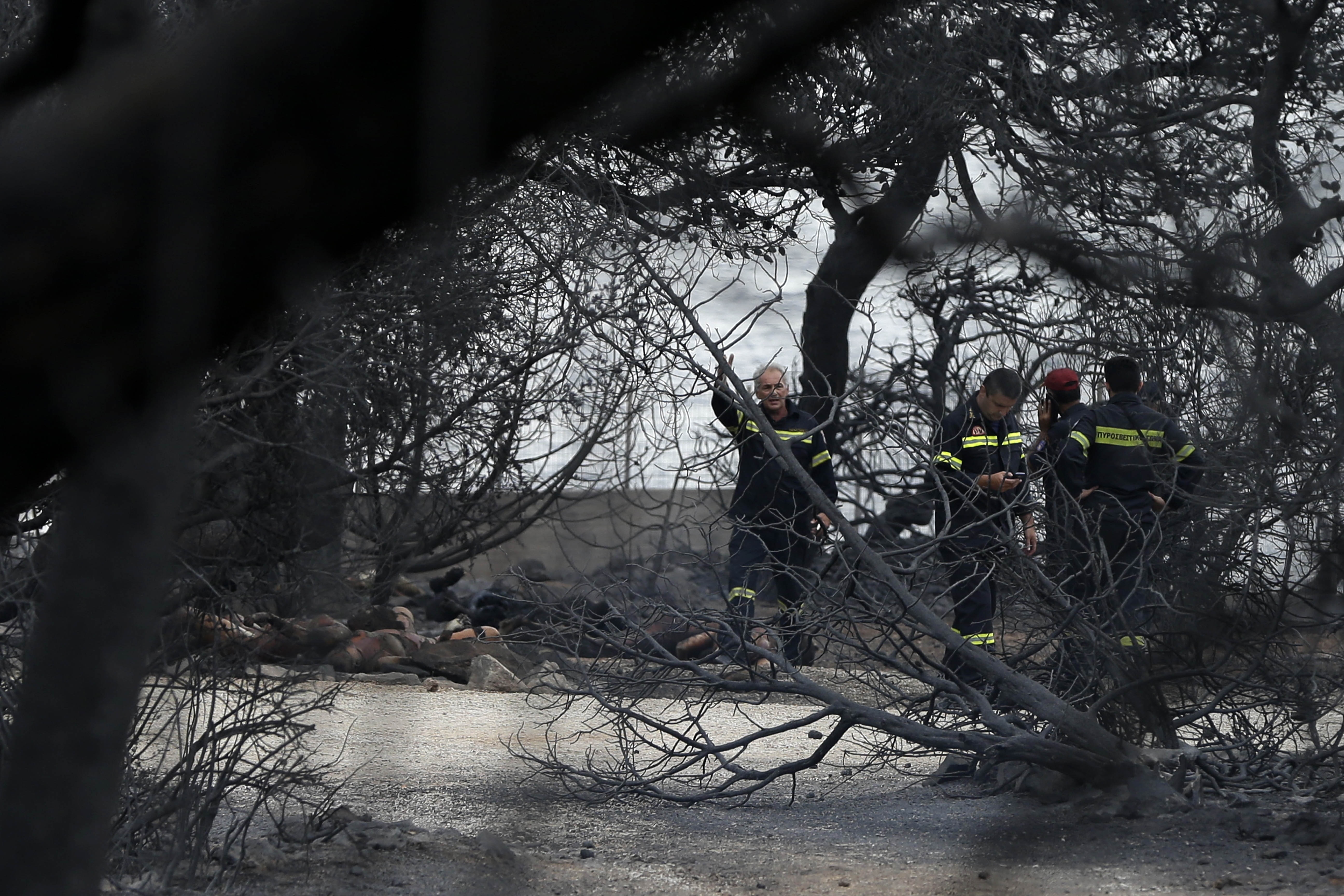 Στάχτη παντού: 19+1 συγκλονιστικές εικόνες -Στο έλεος της φωτιάς ζωές, περιουσίες-8