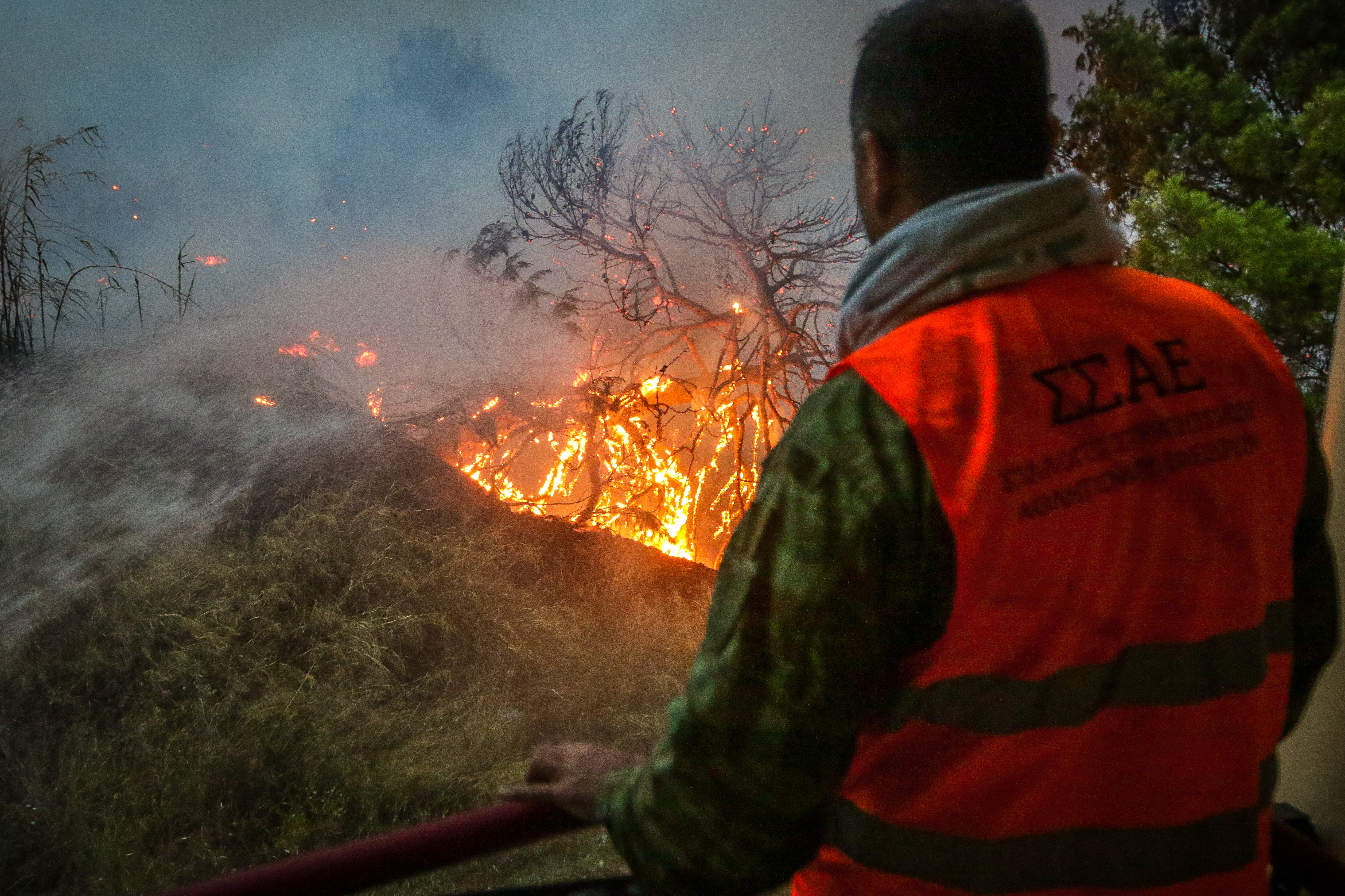 Ανείπωτη τραγωδία με τουλάχιστον 50 νεκρούς από τις πυρκαγιές στην Αττική-1