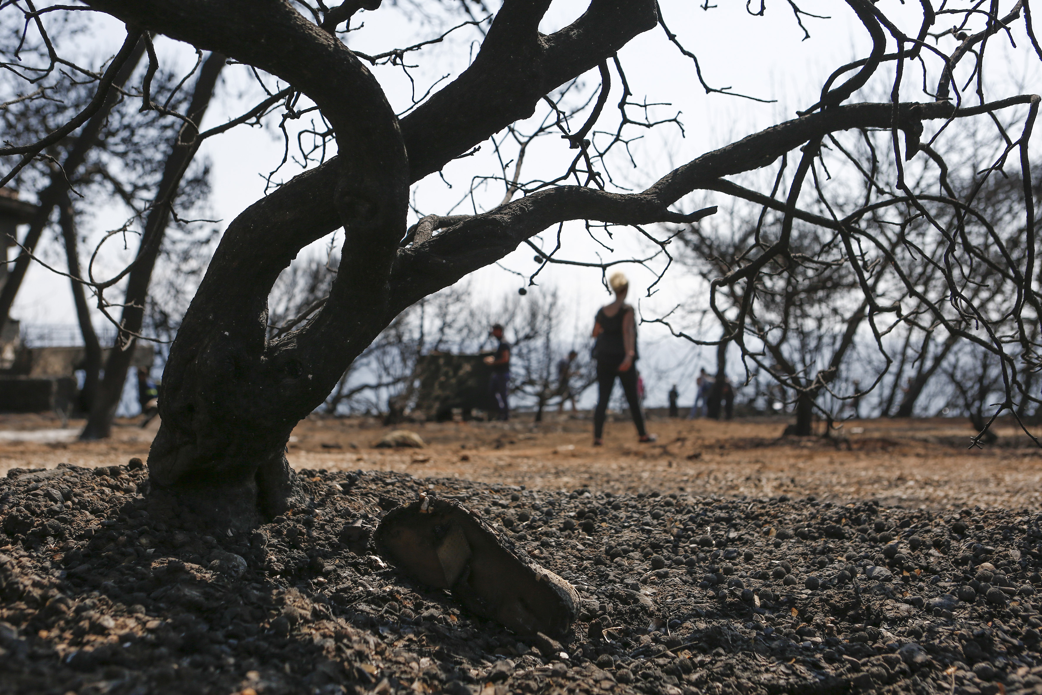 Ραγίζουν καρδιές οι ιστορίες των πυρόπληκτων-4