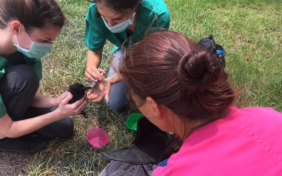 «Ολοι Μαζί Μπορούμε» να ανακουφίσουμε τους πληγέντες-1