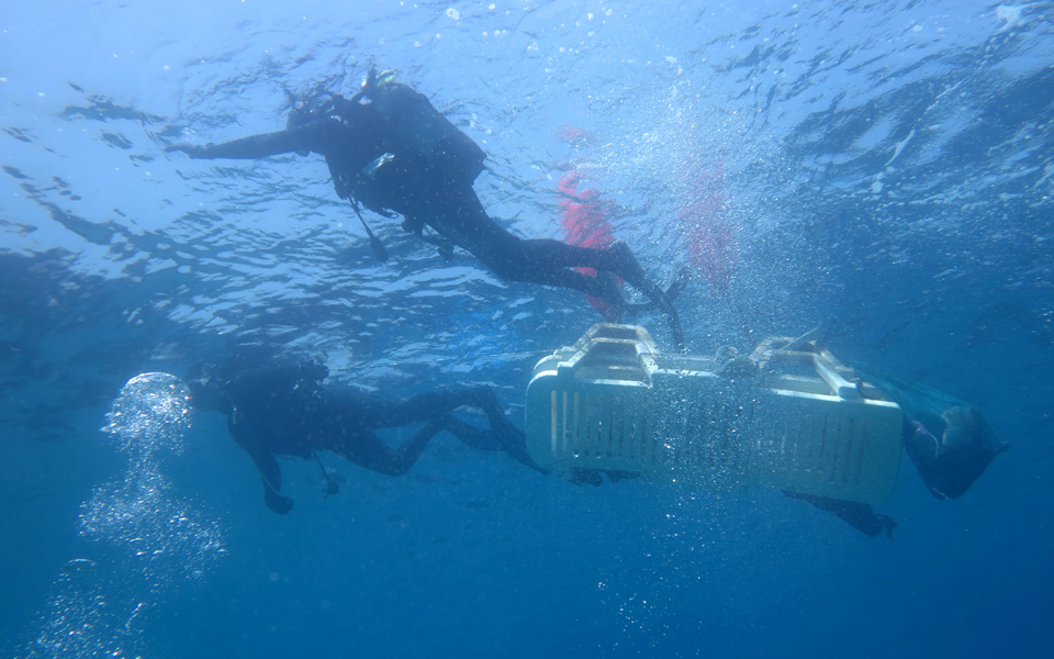 Ξαπλώστρες και λάστιχα, ο «θησαυρός» του βυθού στη Σάμο-1