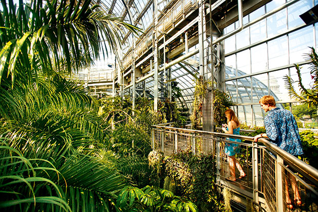 Ουάσιγκτον by locals-3