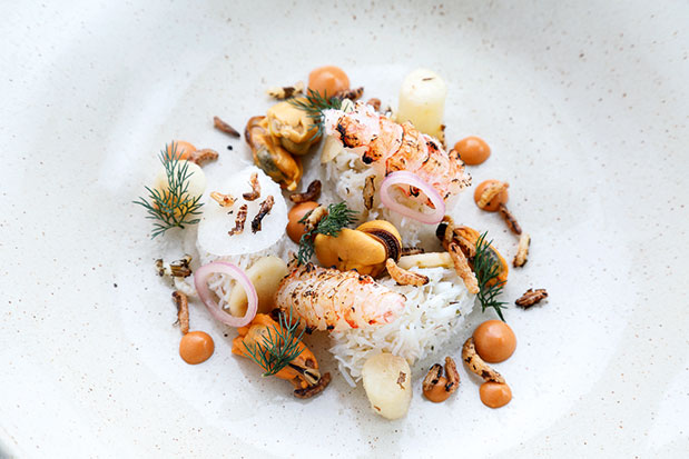 Ασυμβίβαστη Σκωτία-12