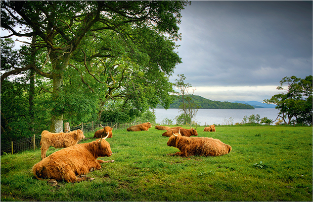 Ασυμβίβαστη Σκωτία-7