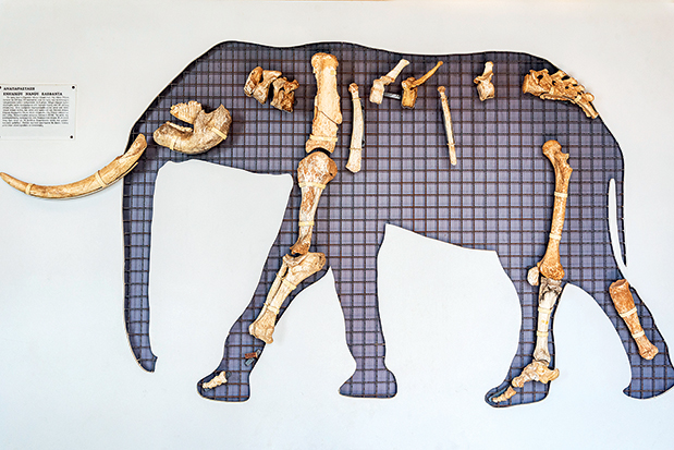 Τήλος, η εναλλακτική-5