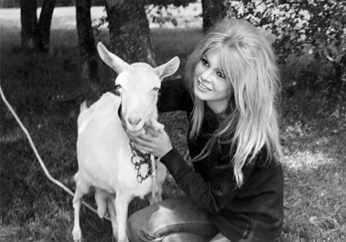 Η Brigitte Bardot σε μια… μάχη μέχρι τέλους!-1