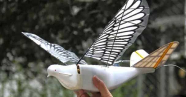 Drones μεταμορφώνονται σε περιστέρια, αρκουδάκια και μέλισσες-1