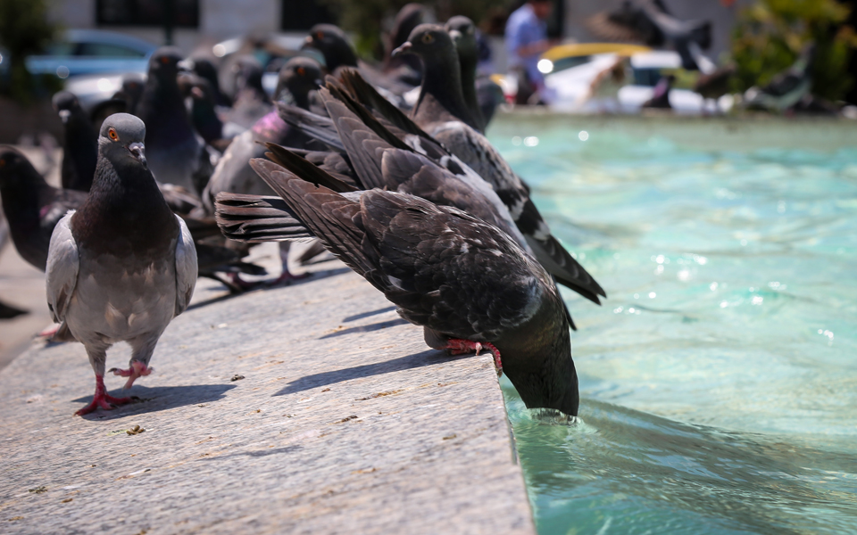 «Θωράκιση τώρα για το κλίμα»-1