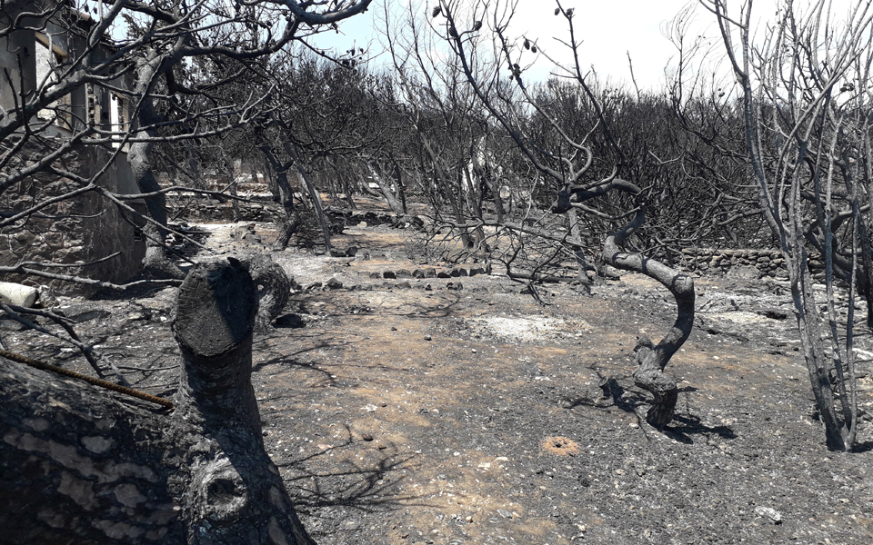 «Κορμοδέματα τώρα, αλλιώς το Μάτι κινδυνεύει και να πνιγεί»-2