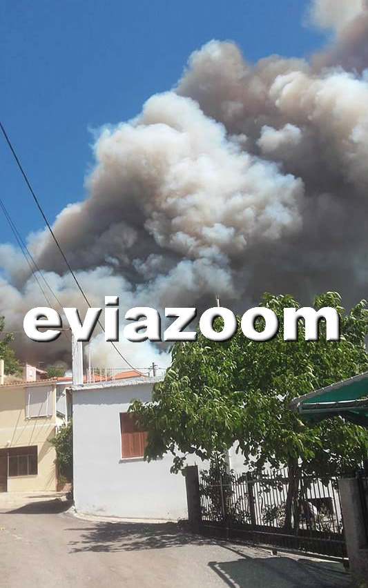 Ολονύχτια μάχη με τις φλόγες στην Εύβοια (Φωτό – Βίντεο)-4
