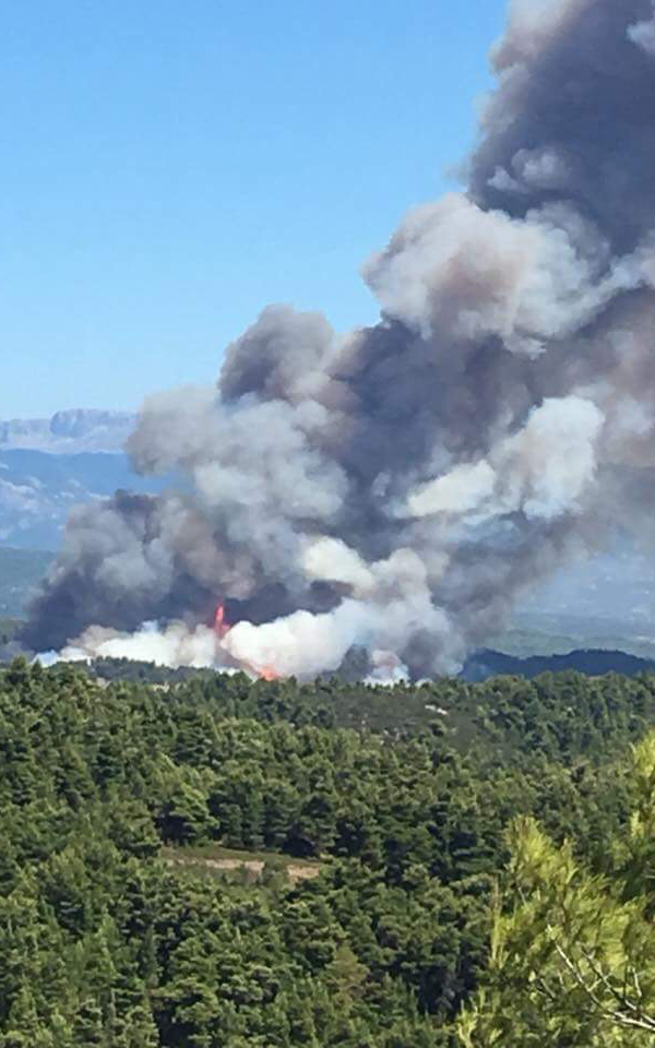 Ολονύχτια μάχη με τις φλόγες στην Εύβοια (Φωτό – Βίντεο)-5