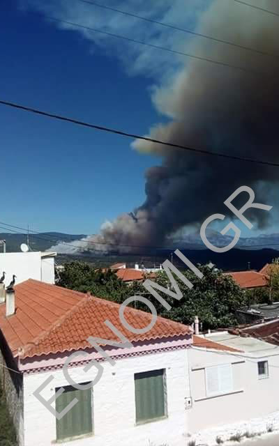 Ολονύχτια μάχη με τις φλόγες στην Εύβοια (Φωτό – Βίντεο)-7