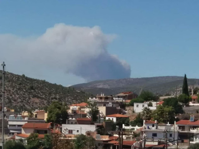 Ολονύχτια μάχη με τις φλόγες στην Εύβοια (Φωτό – Βίντεο)-1