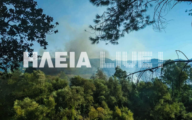 Υπό έλεγχο η φωτιά στην Ηλεία (φωτογραφίες)-1
