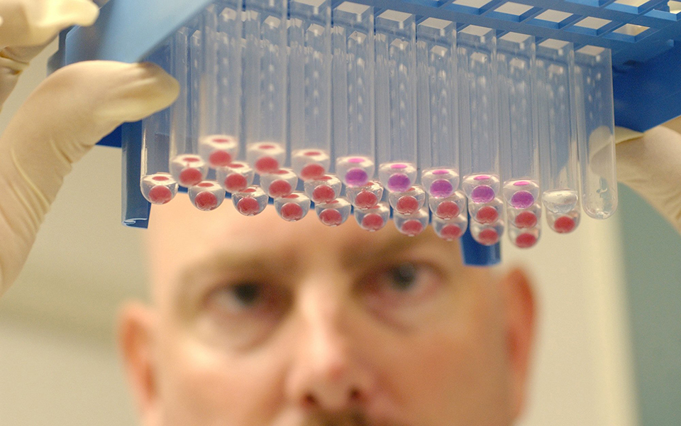 Ιός Δυτικού Νείλου: Η μετάδοσή του, τα συμπτώματα και τι πρέπει να προσέχουμε-2