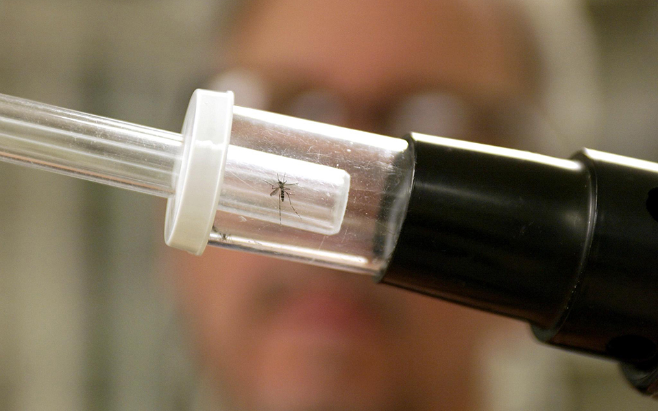 Ιός Δυτικού Νείλου: Η μετάδοσή του, τα συμπτώματα και τι πρέπει να προσέχουμε-3
