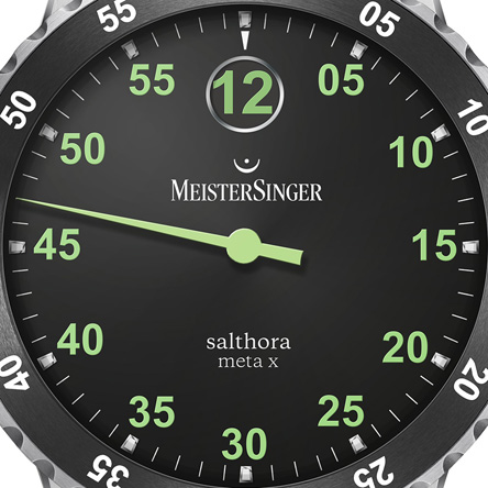 MEISTERSINGER Salthora Meta X-6