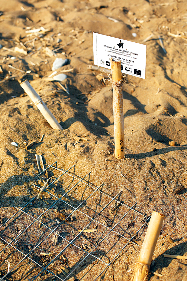 Ηλεία: Πλήρες «μενού»-8