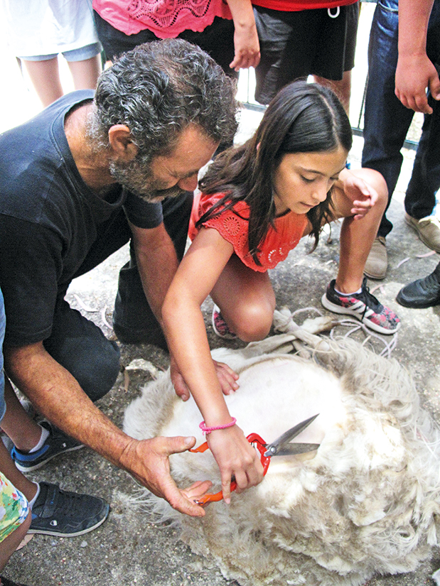 Στα βουνά είναι η γνώση-1