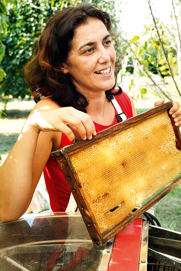 Ηλεία: Πλήρες «μενού»-1