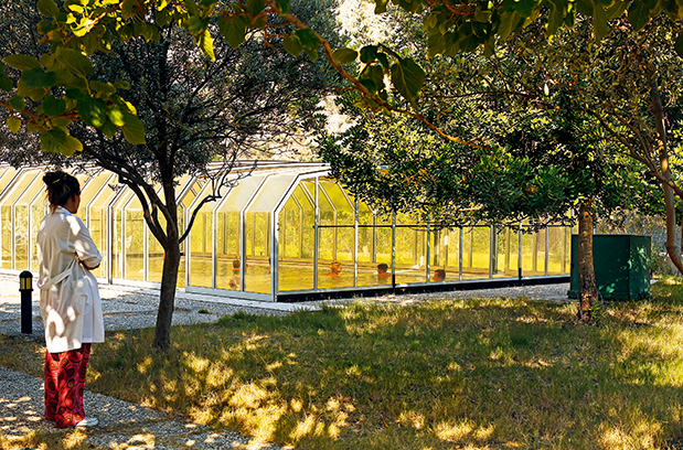 Ηλεία: Πλήρες «μενού»-6