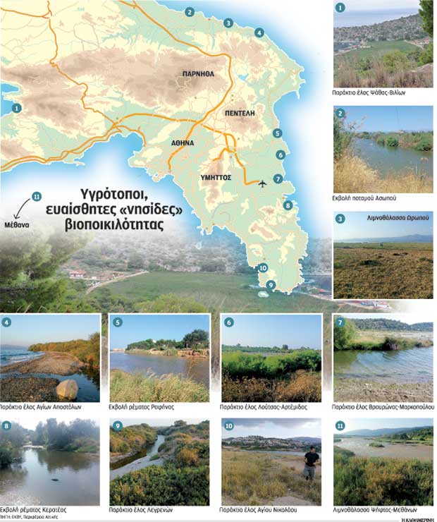 Υπό προστασία τίθενται 15 μικροί υγρότοποι της Αττικής-1