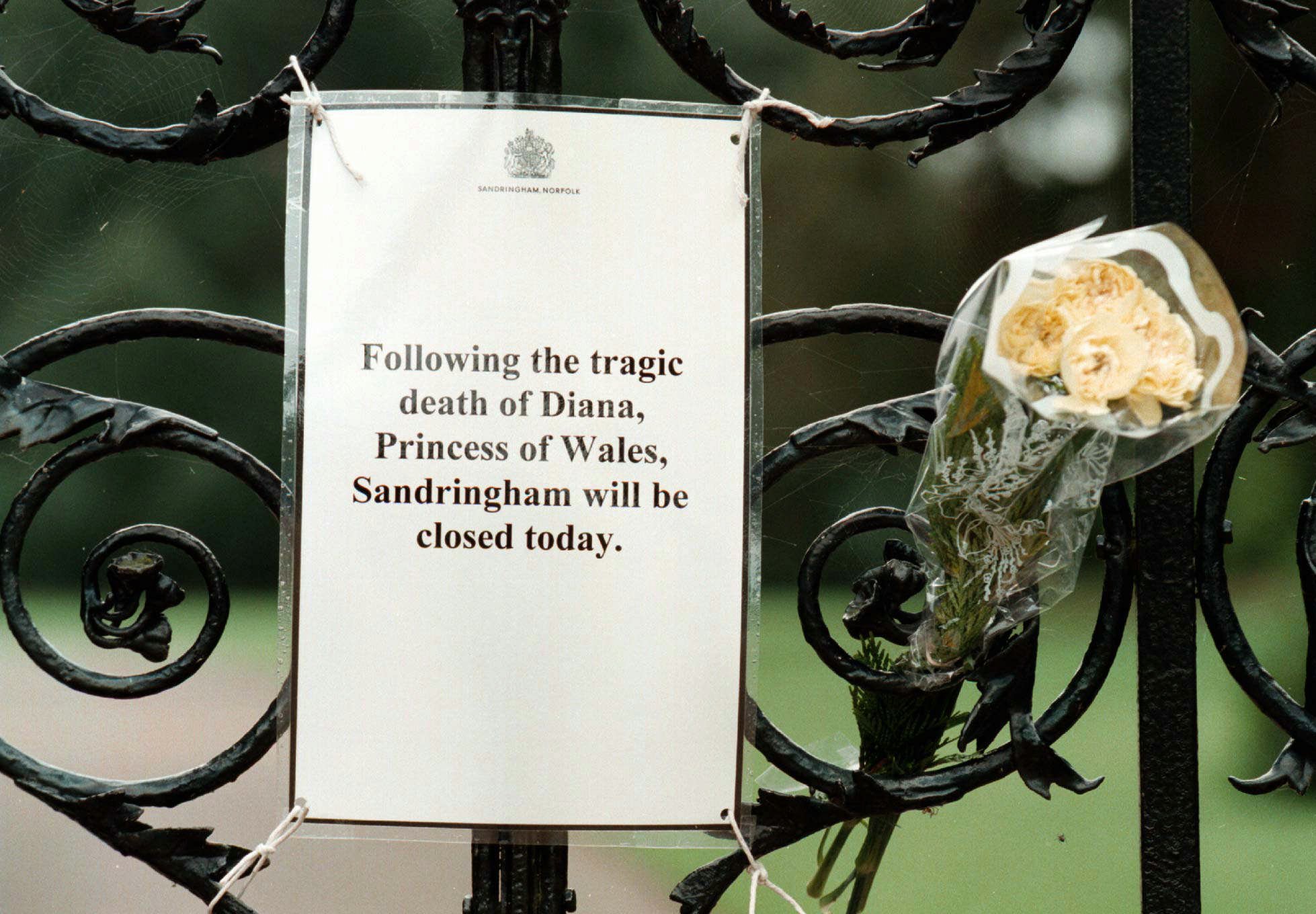 Flashback στην 31η Αυγούστου-4