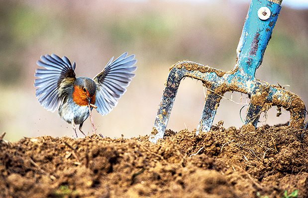 Φτερωτός κόσμος-1