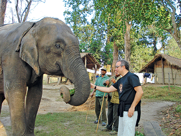 Νίκος Παπαδογιάννης: Αθλητικός συντάκτης, συγγραφέας-2
