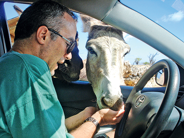 Νίκος Παπαδογιάννης: Αθλητικός συντάκτης, συγγραφέας-3