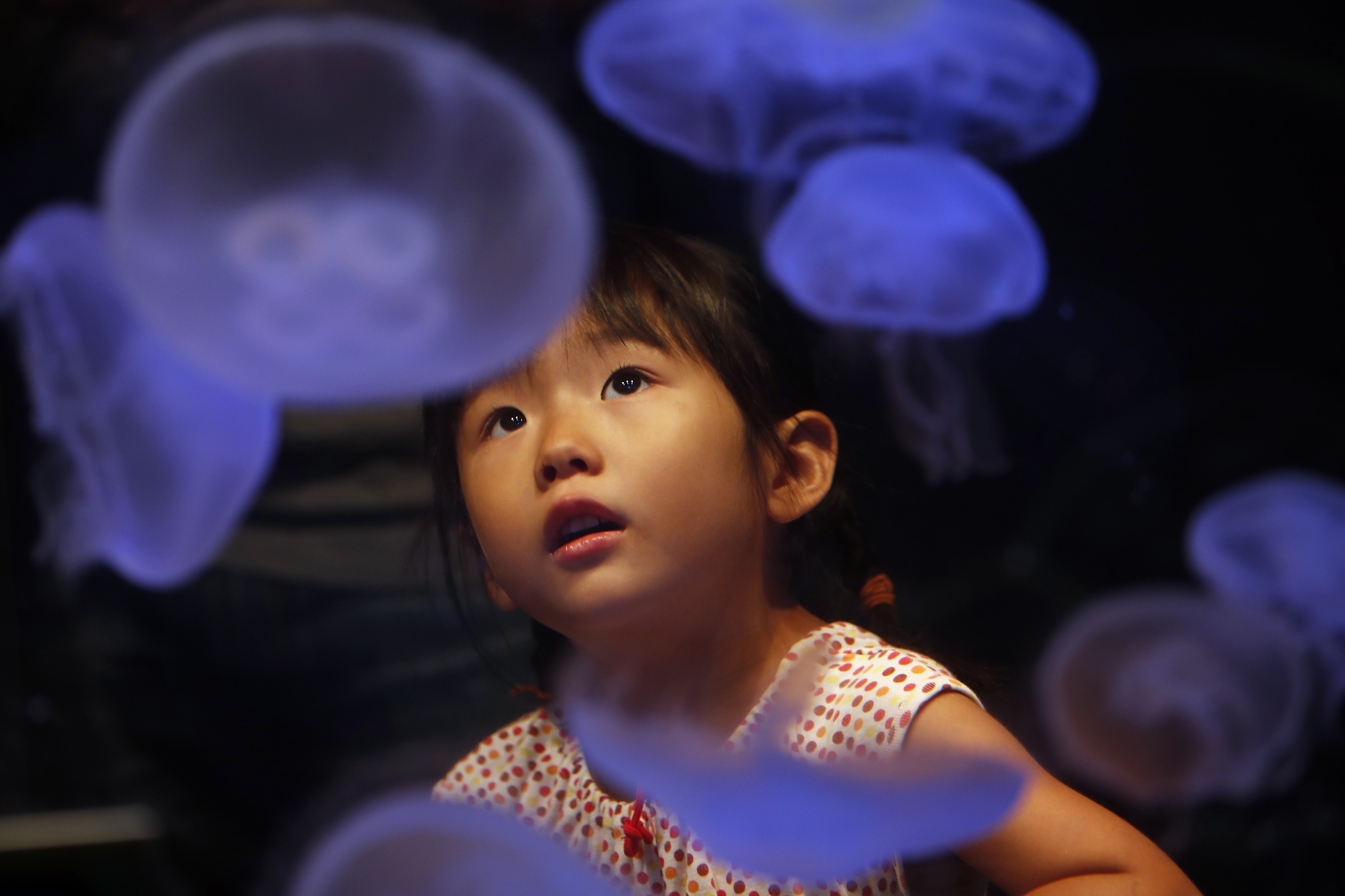 Ματιές στον κόσμο-1