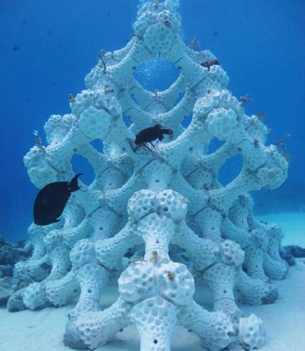 Κοράλλια που σώζουν τον υποθαλάσσιο πλούτο… απλώς εκτυπώνονται-2