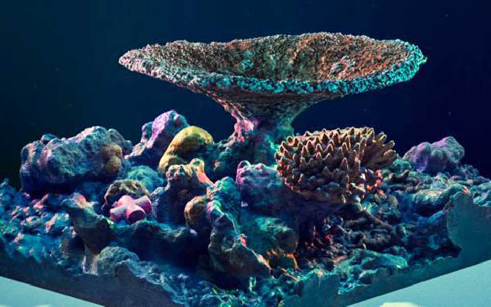 Κοράλλια που σώζουν τον υποθαλάσσιο πλούτο… απλώς εκτυπώνονται-1
