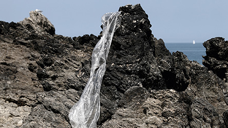 Ημέρα Εθελοντικού Καθαρισμού από την ORIS-1