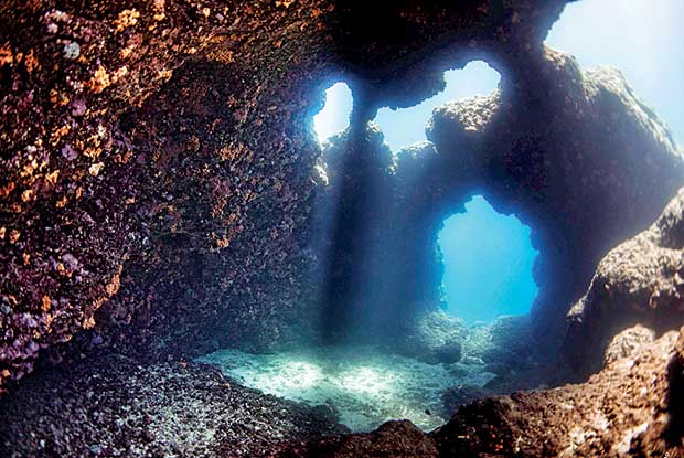 Φωτογραφίες… μιας ανάσας στον βυθό της Αμοργού-1