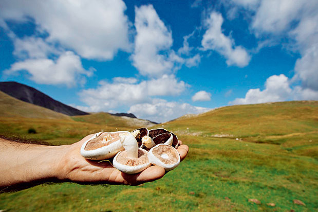 Ταξίδι για μικρούς ήρωες-3