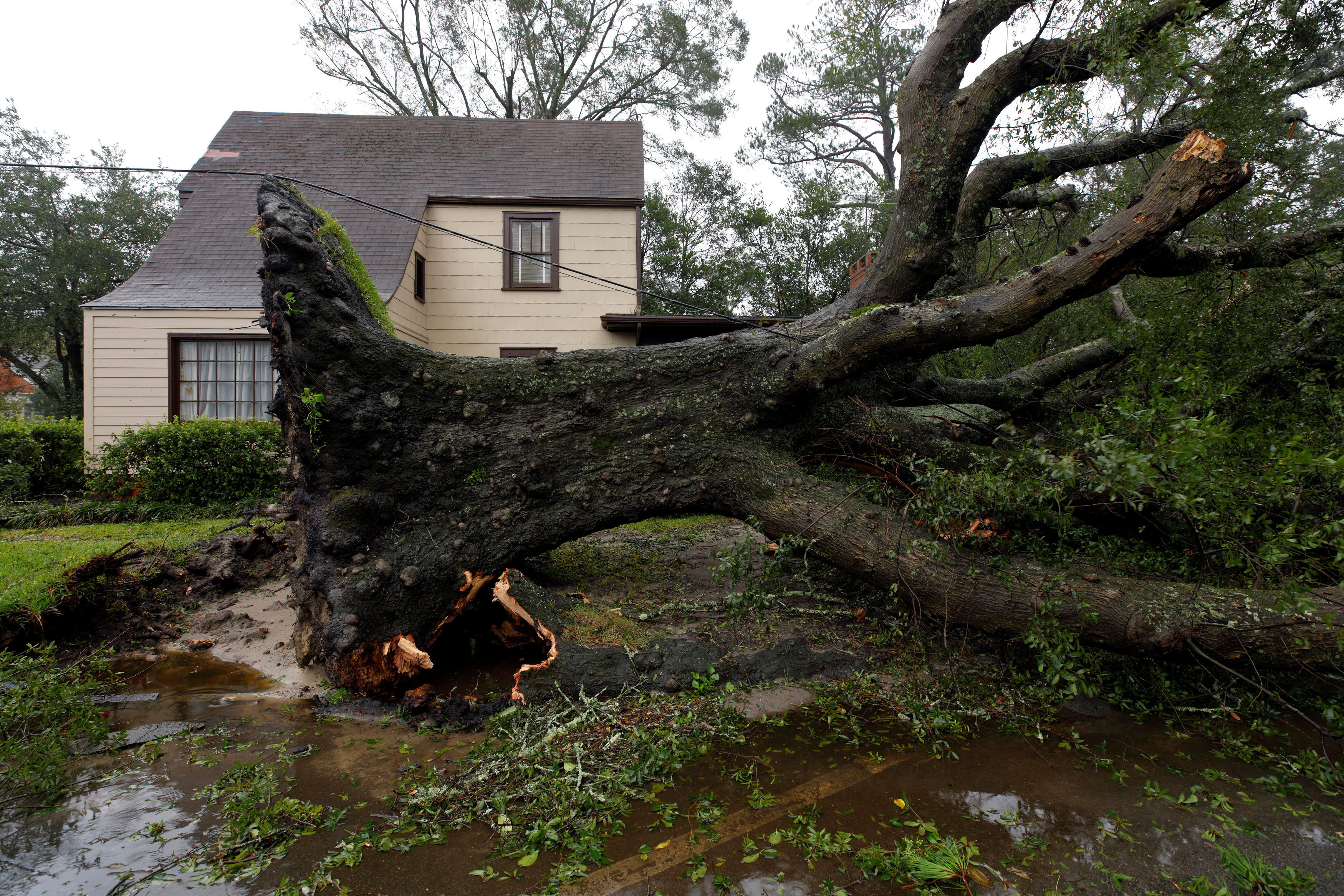 Οι επιστήμονες προειδοποιούν: Ισχυρότερους τυφώνες «φέρνει» η κλιματική αλλαγή-1