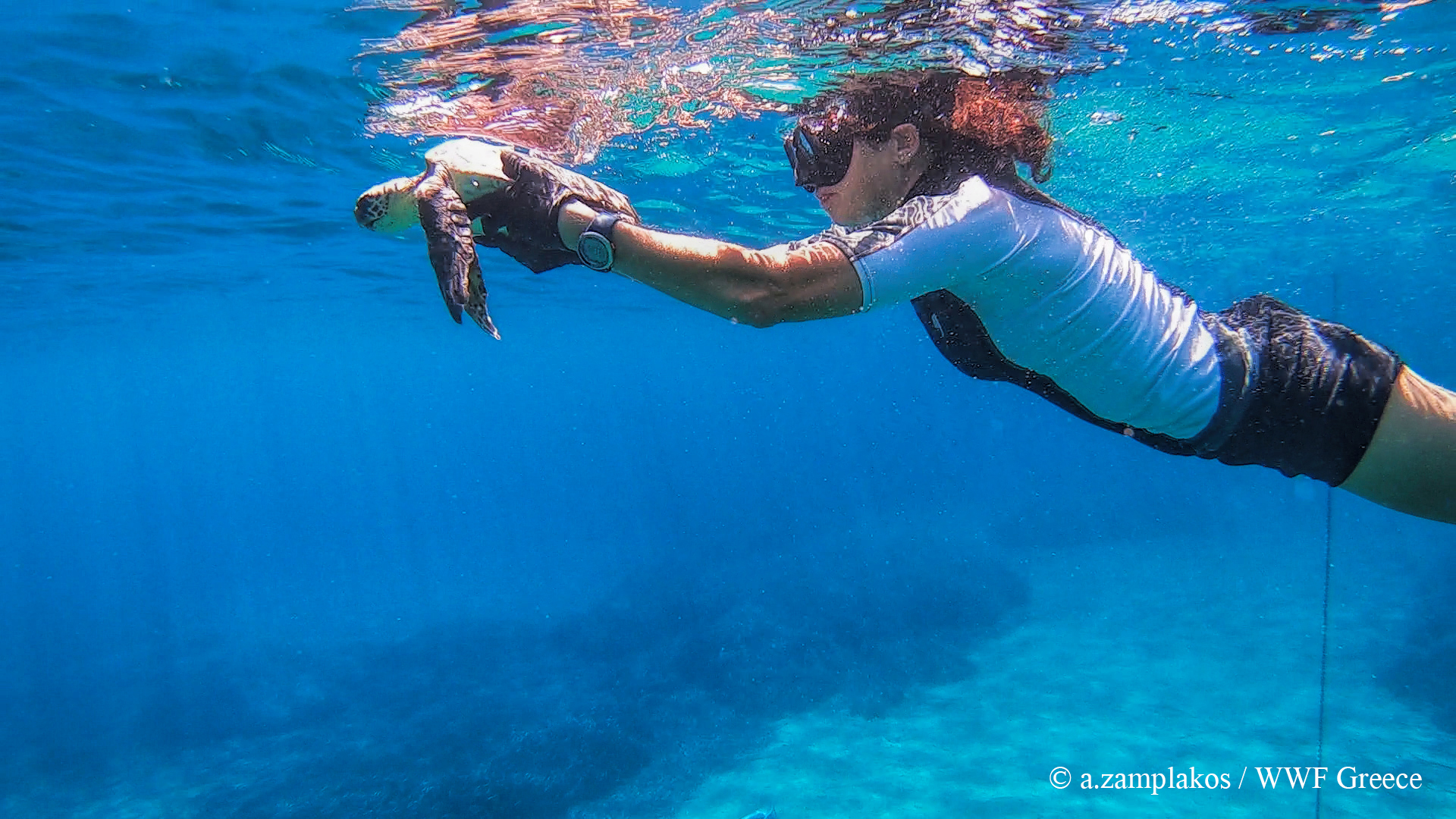 Διέσωσαν θαλάσσια χελώνα που είχε τραυματιστεί από αγκίστρι (φωτογραφίες – βίντεο)-3