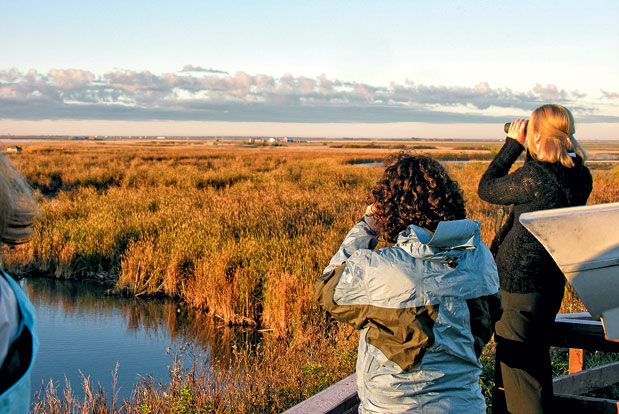 Βανκούβερ by locals-3