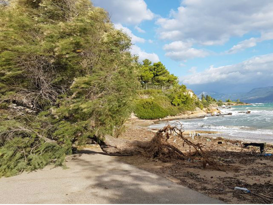 Εκατοντάδες κλήσεις στην Πυροσβεστική, διακοπές ρεύματος και κλειστά σχολεία λόγω της κακοκαιρίας «Ξενοφών» (φωτογραφίες)-7