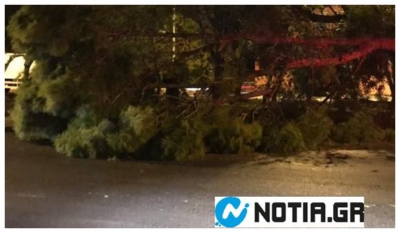 Εκατοντάδες κλήσεις στην Πυροσβεστική, διακοπές ρεύματος και κλειστά σχολεία λόγω της κακοκαιρίας «Ξενοφών» (φωτογραφίες)-6