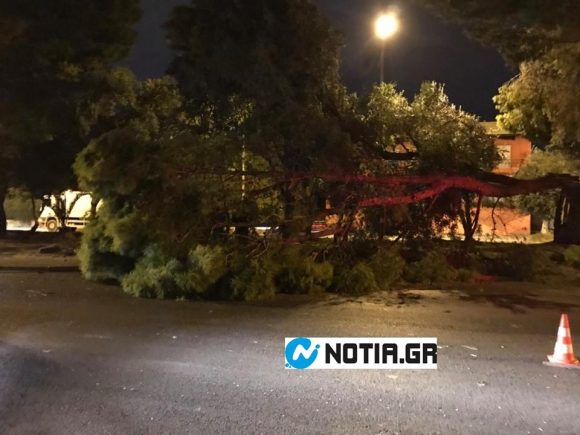 Εκατοντάδες κλήσεις στην Πυροσβεστική, διακοπές ρεύματος και κλειστά σχολεία λόγω της κακοκαιρίας «Ξενοφών» (φωτογραφίες)-5