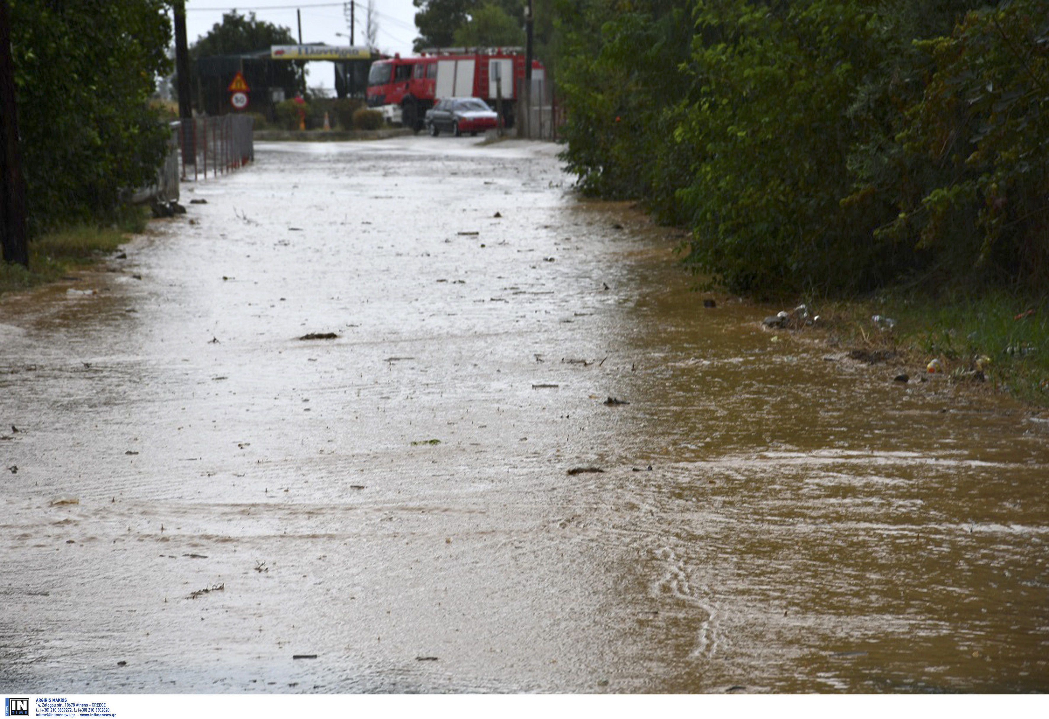 Υπερχείλισαν ποτάμια, πλημμύρισαν σπίτια στο Αργος – Επί ποδός ο κρατικός μηχανισμός-9