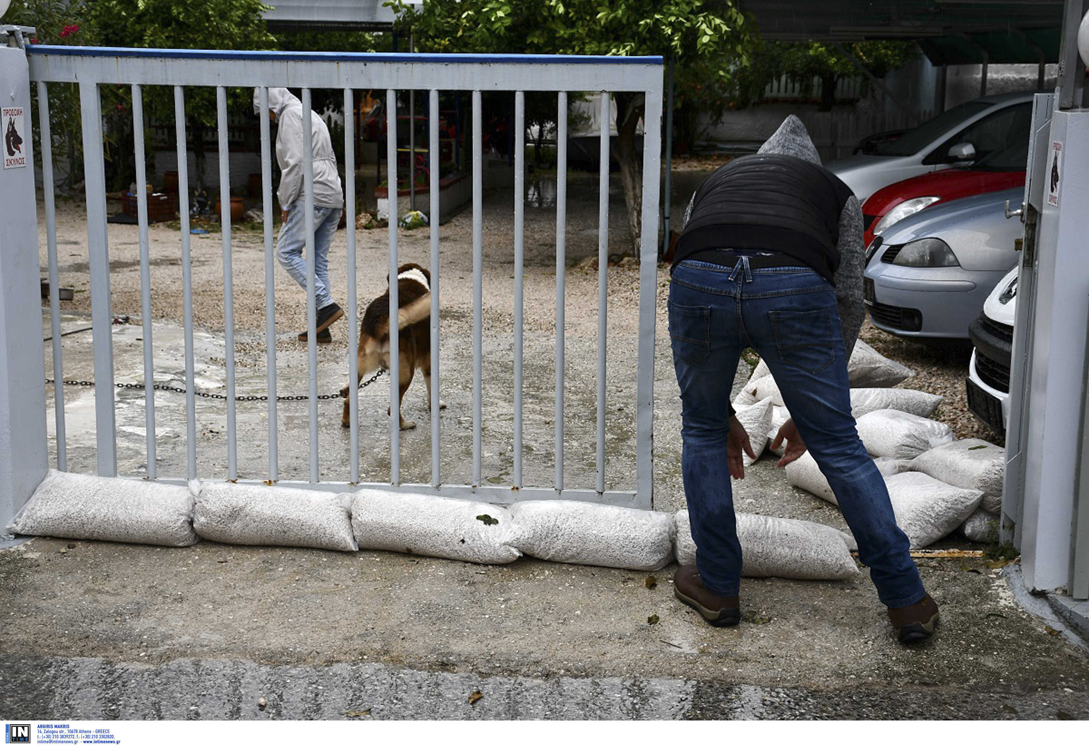 Υπερχείλισαν ποτάμια, πλημμύρισαν σπίτια στο Αργος – Επί ποδός ο κρατικός μηχανισμός-6