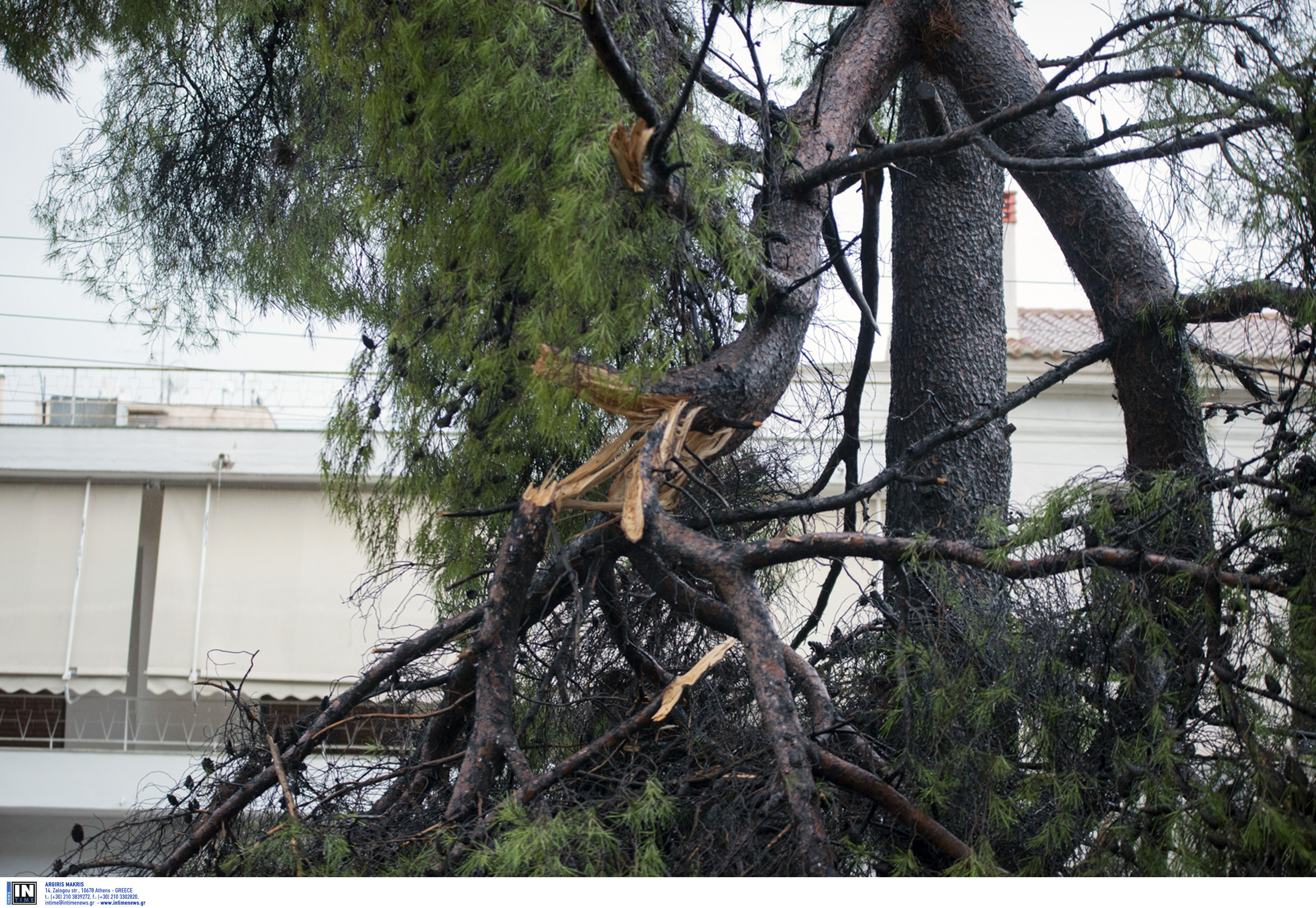 Σε Αργολίδα και Κορινθία τα σημαντικότερα προβλήματα από το πέρασμα του κυκλώνα – Λεπτό προς λεπτό η πορεία του (φωτογραφίες – βίντεο)-10