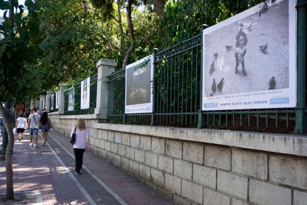 «O Εθνικός Κήπος στις τέσσερις εποχές του χρόνου»-1