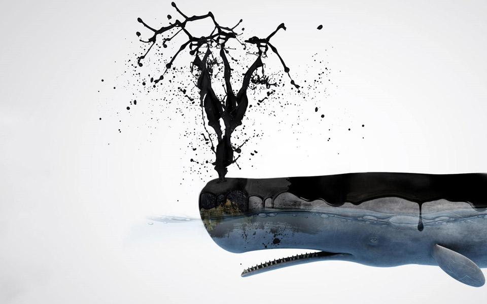 Εκστρατεία του WWF κατά της εξόρυξης πετρελαίου και φυσικού αερίου στην Ελλάδα-2